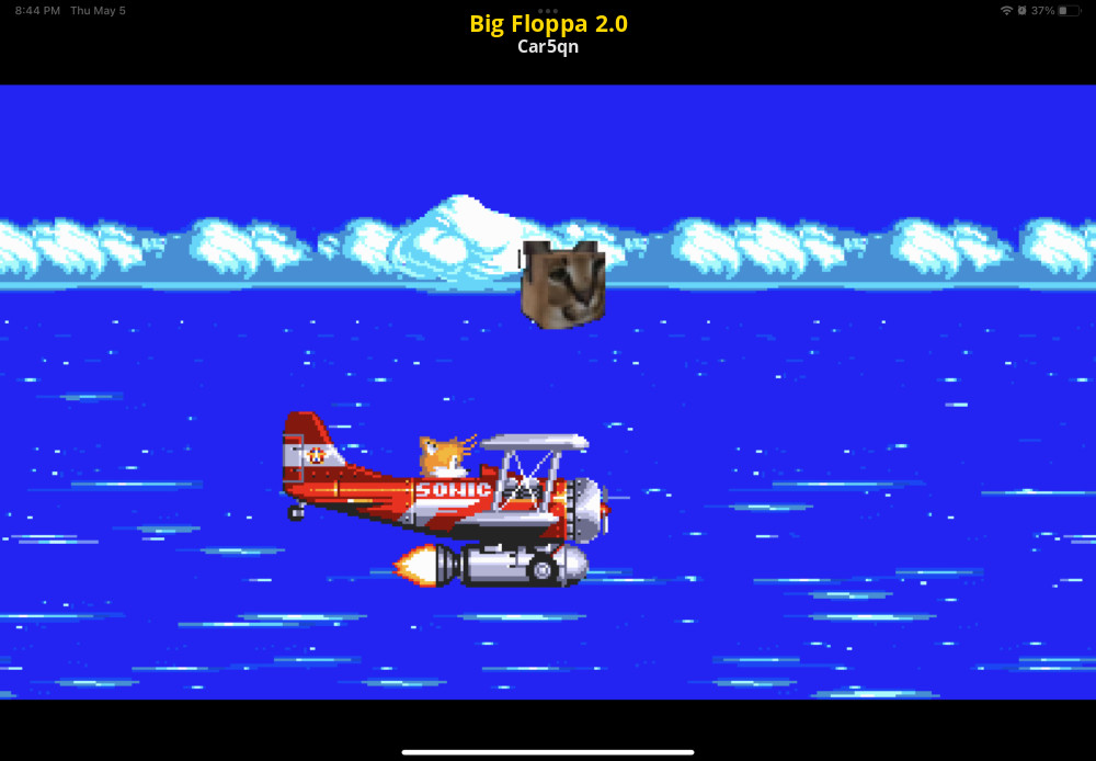 Big Floppa 2.0 [Sonic 3 A.I.R.] [Mods]