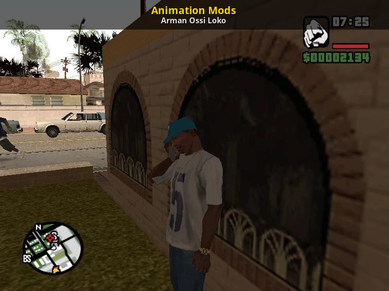 Animation Mods [Grand Theft Auto: San Andreas] [Mods]